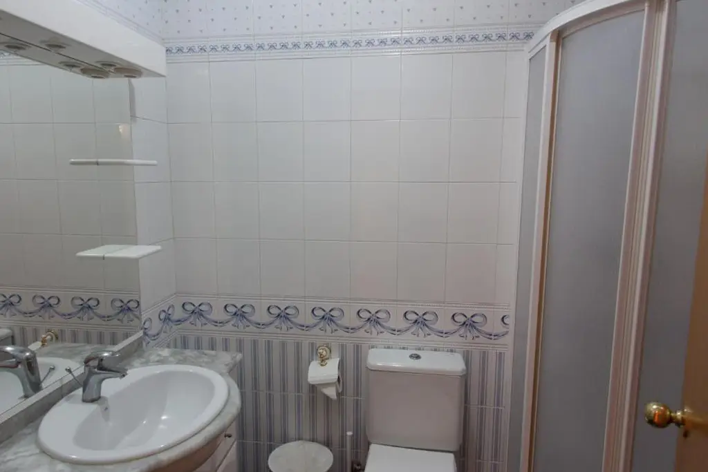 Apartamento Gallo baño - Apartamentos Guadalaviar